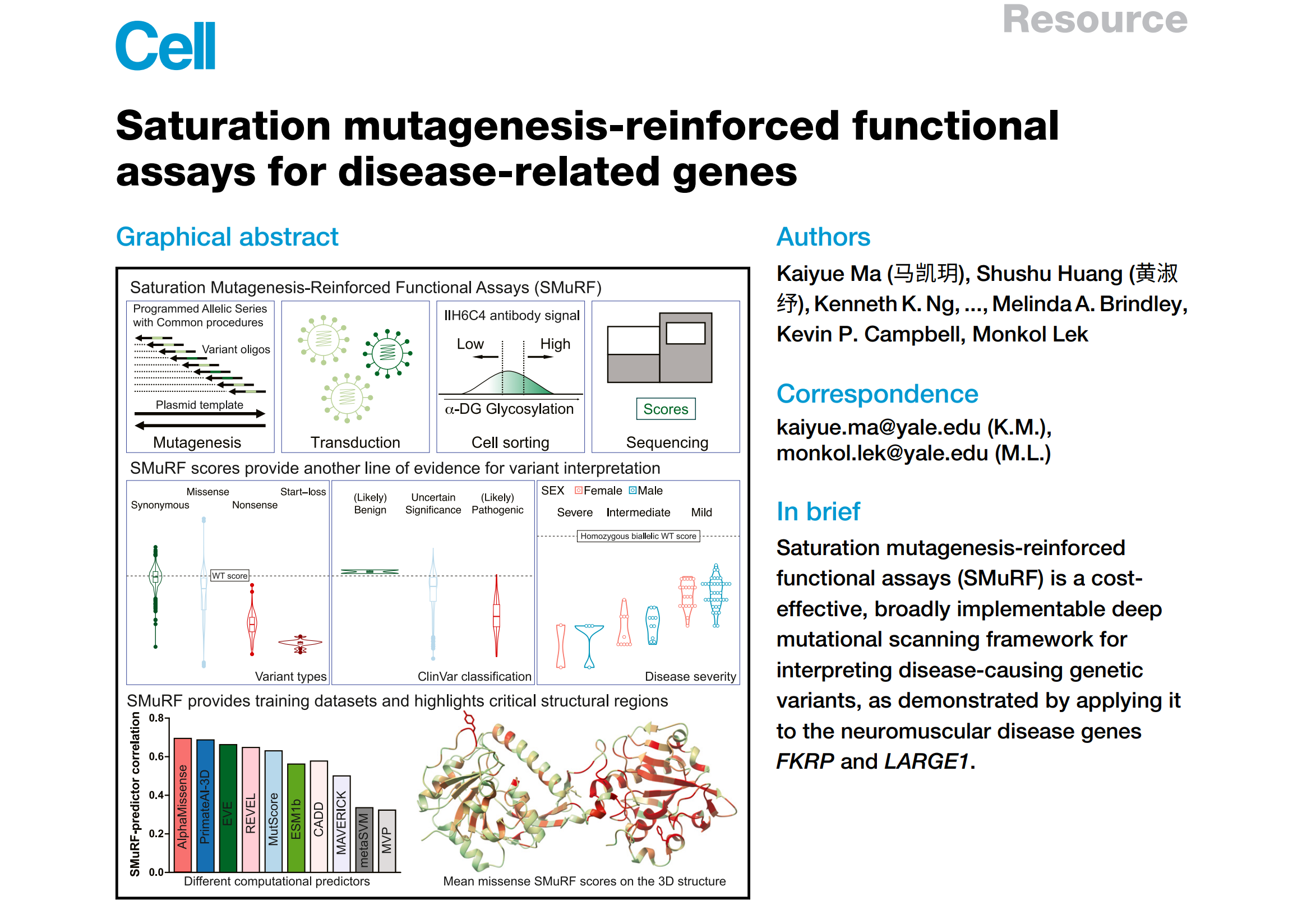 Kaiyue's work about saturation mutagenesis-reinforced functional assays (SMuRF) is online at Cell !